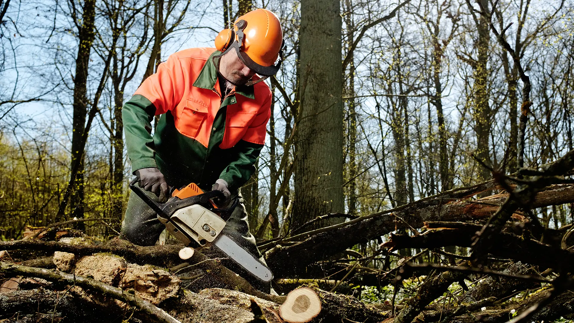 Jepsen Handel Monatsangebot