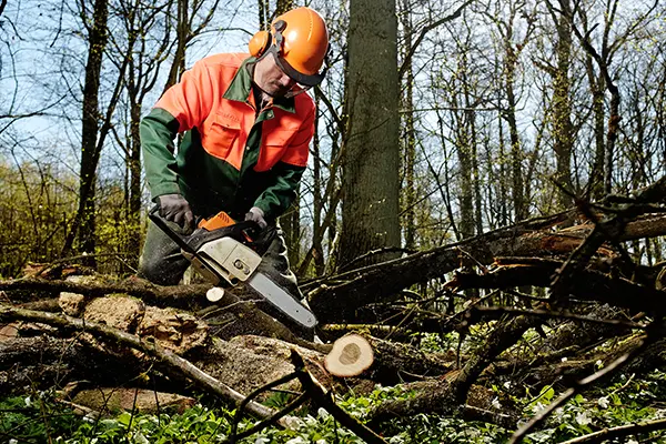 monatsangebot_12_25_teaser_110439780