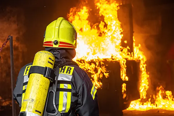 Jepsen-Handel Monatsangebot